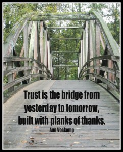 trust is the bridge